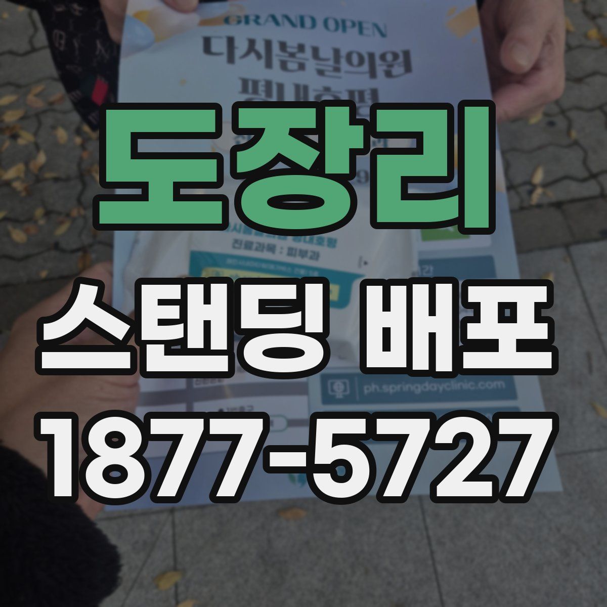 도장리 스탠딩 배포