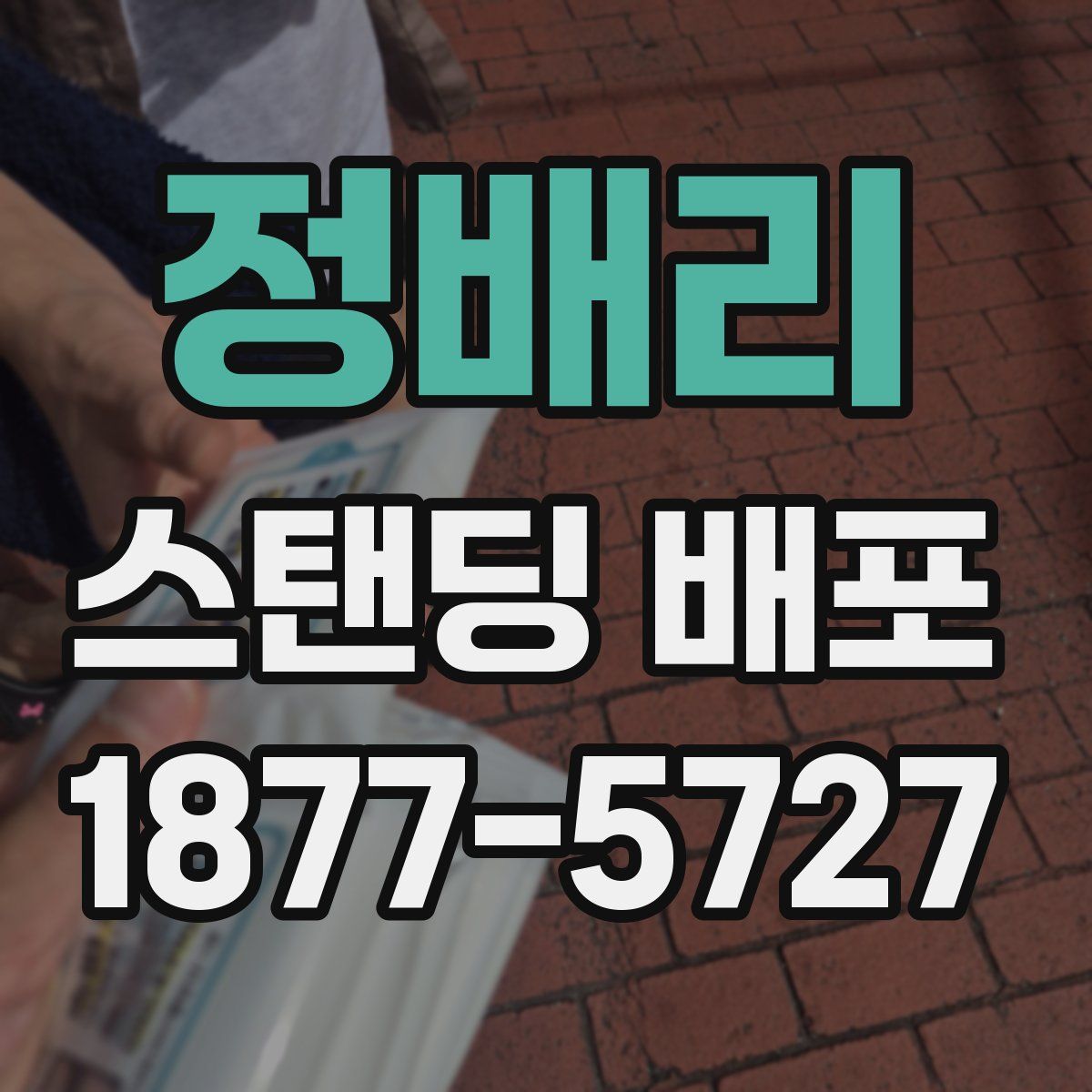 정배리 스탠딩 배포
