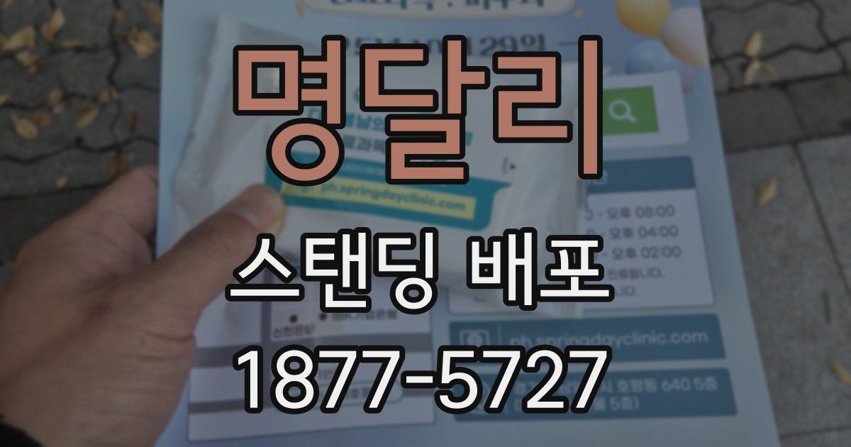 명달리 스탠딩 배포