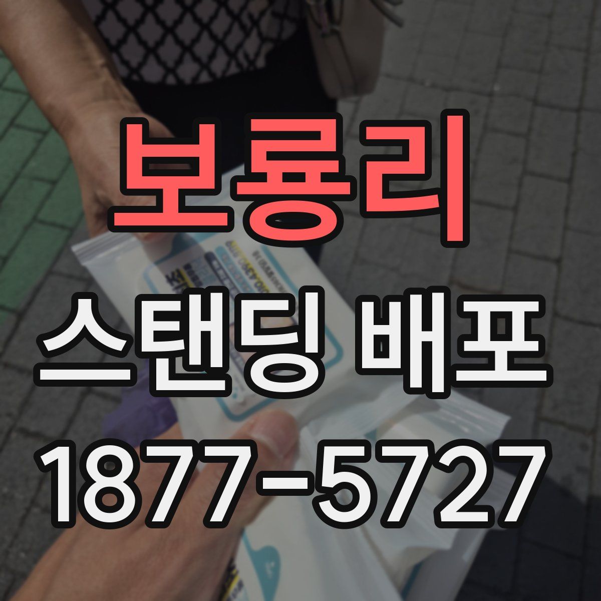 보룡리 스탠딩 배포