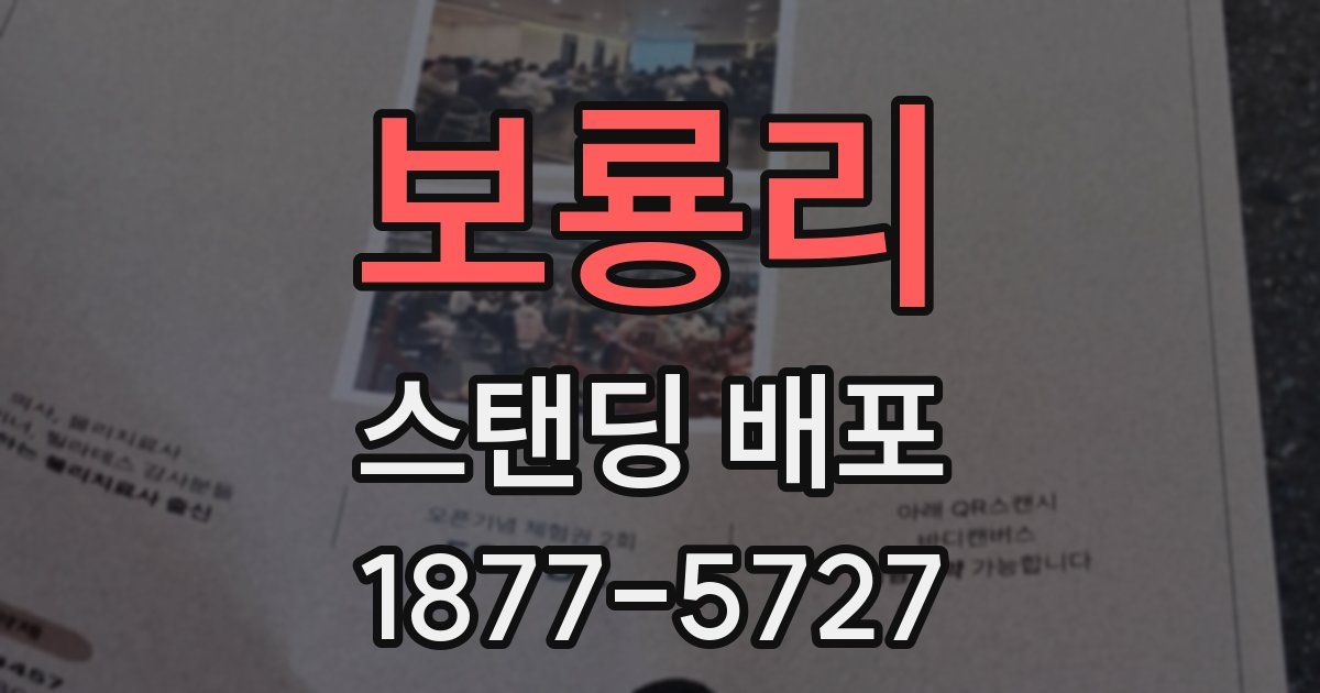 보룡리 스탠딩 배포