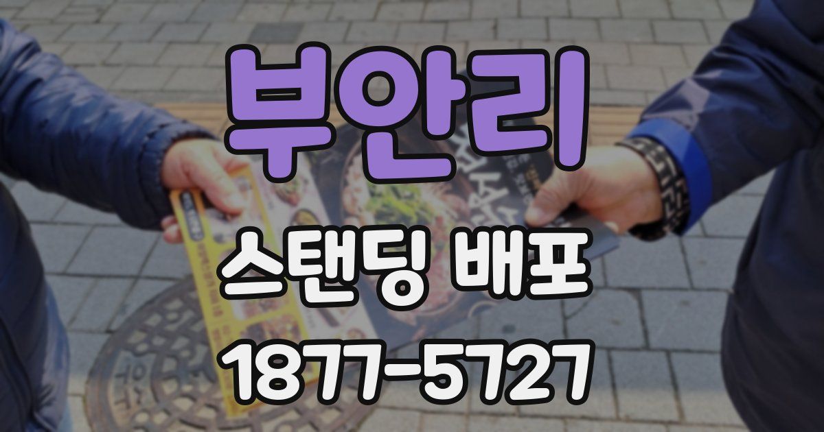 부안리 스탠딩 배포