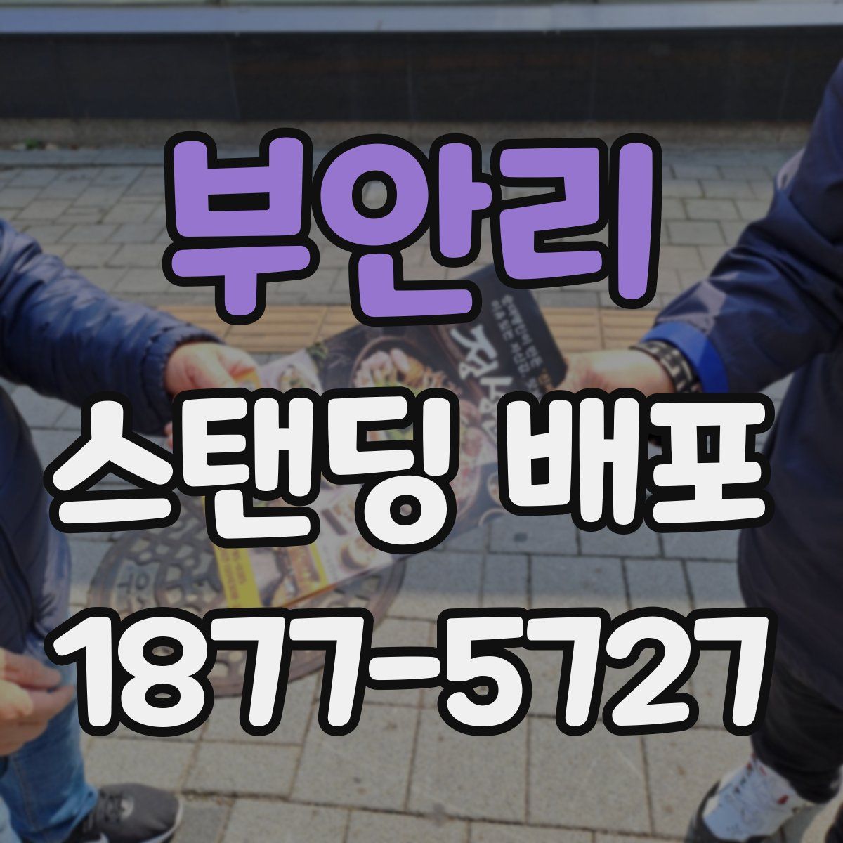 부안리 스탠딩 배포