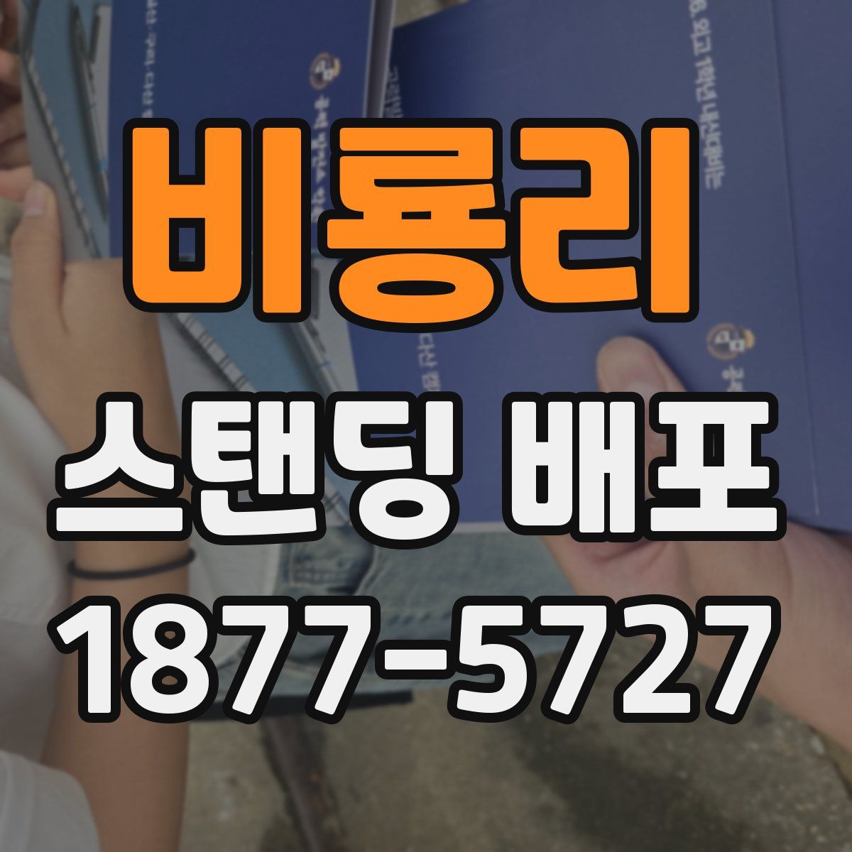 비룡리 스탠딩 배포