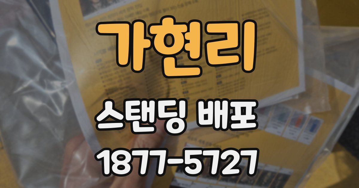 가현리 스탠딩 배포