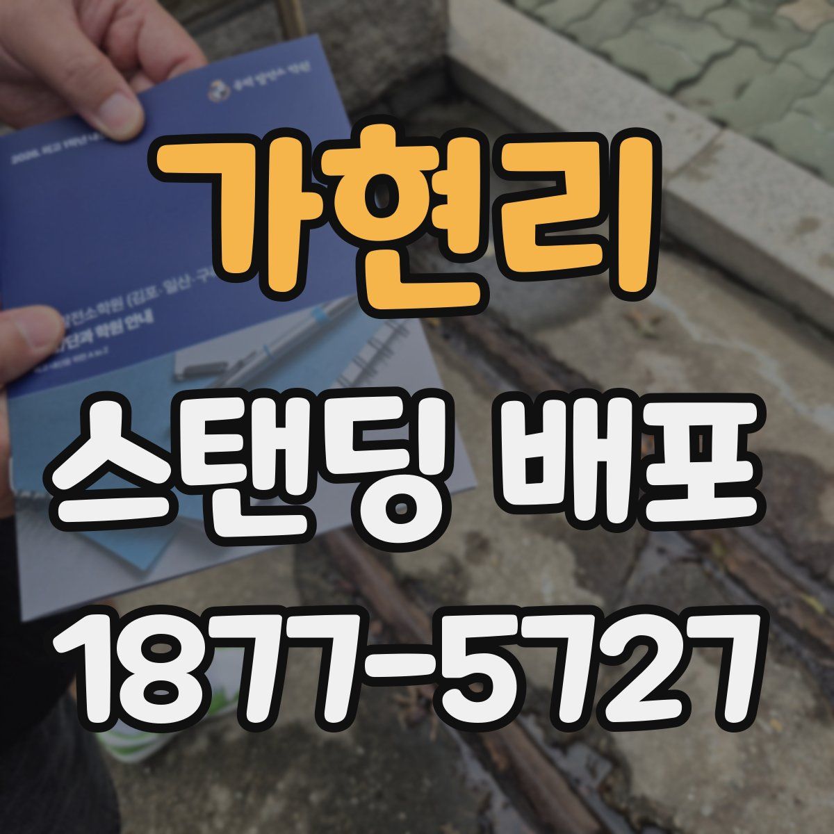 가현리 스탠딩 배포