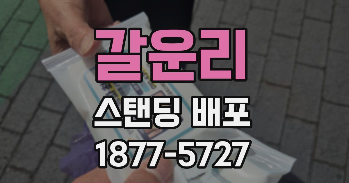 갈운리 스탠딩 배포