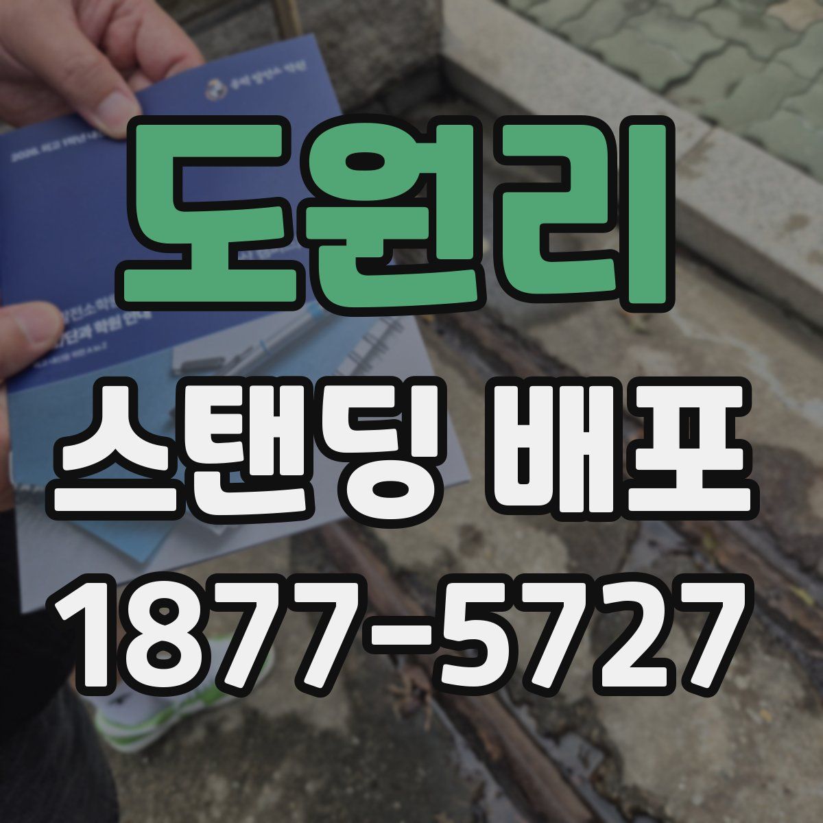 도원리 스탠딩 배포