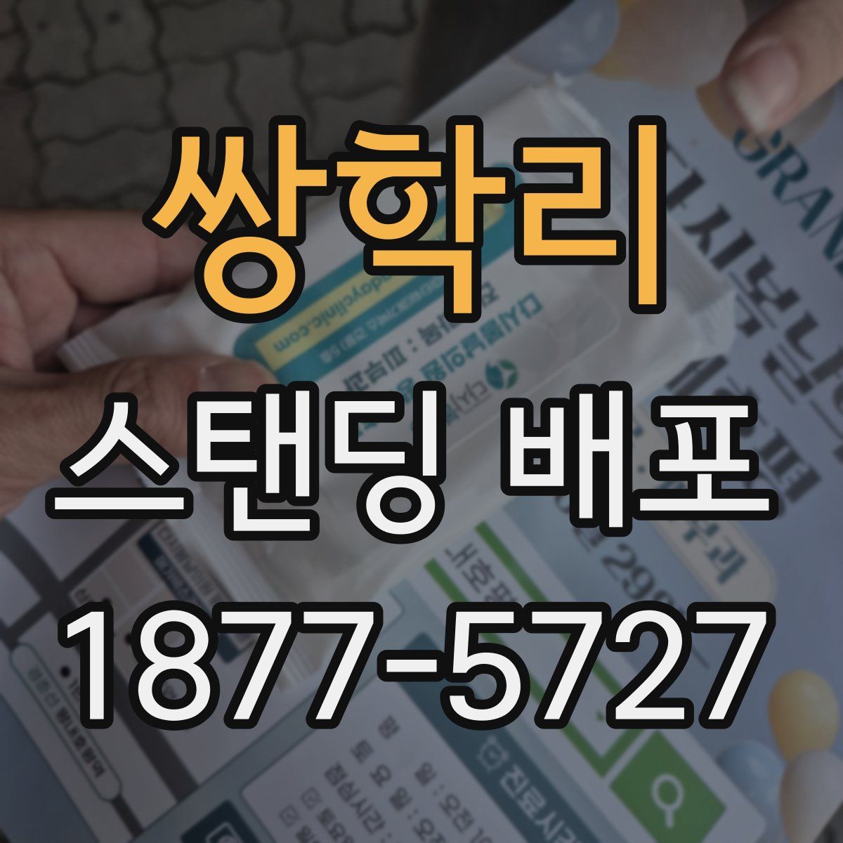 쌍학리 스탠딩 배포