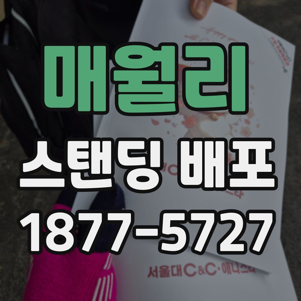 매월리 스탠딩 배포
