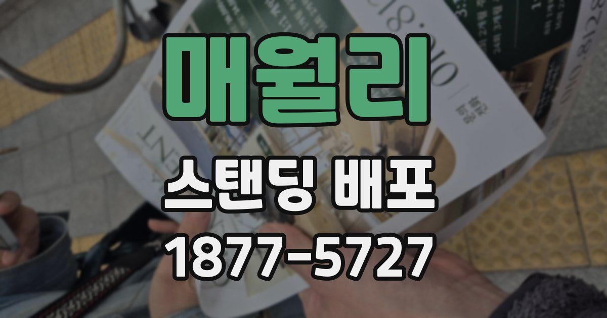 매월리 스탠딩 배포