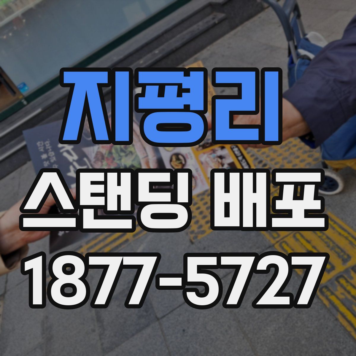 지평리 스탠딩 배포