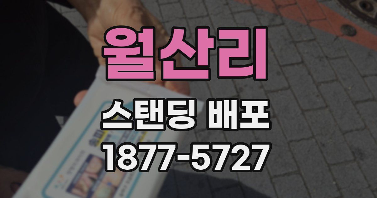 월산리 스탠딩 배포