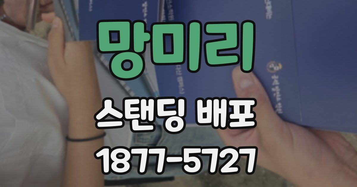망미리 스탠딩 배포