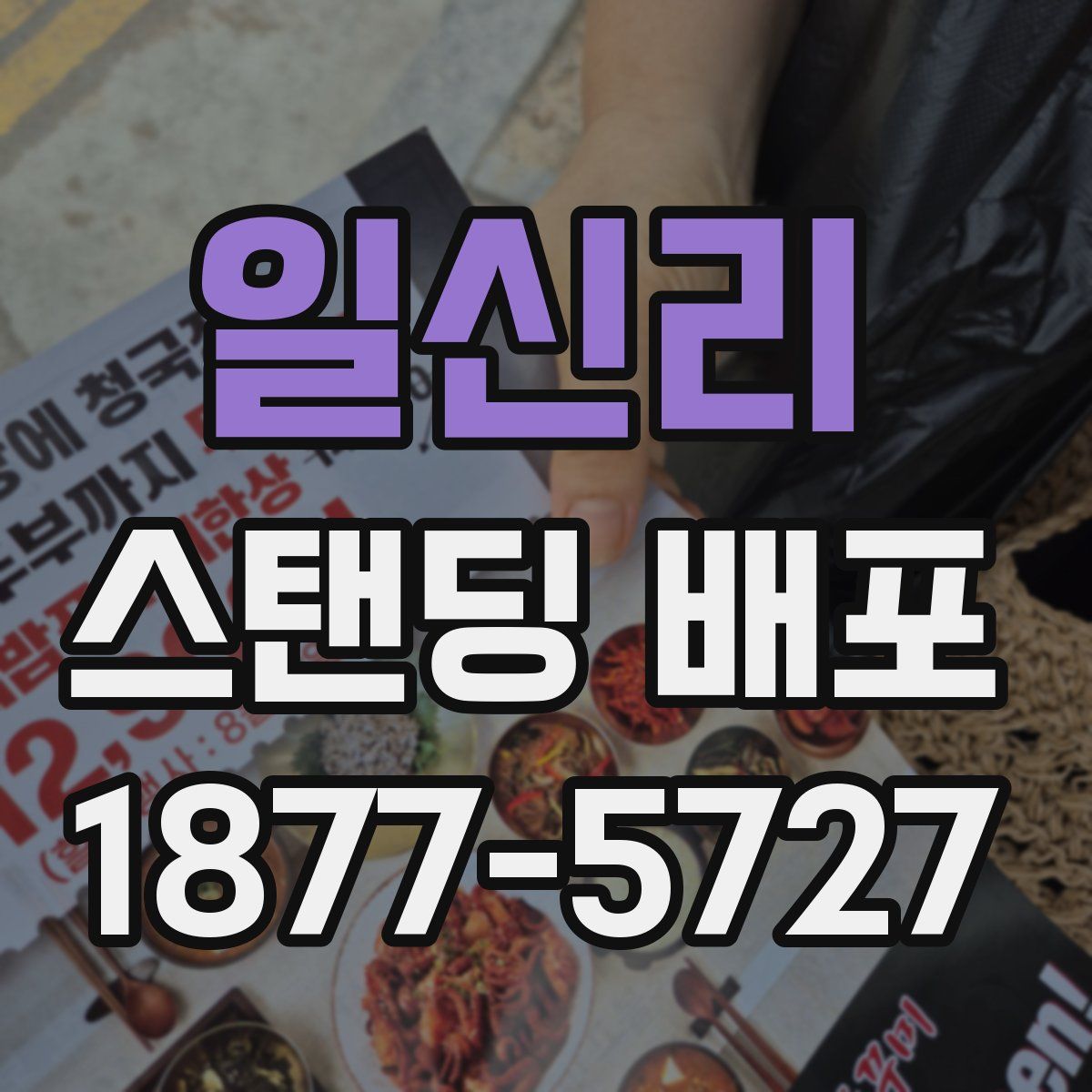 일신리 스탠딩 배포
