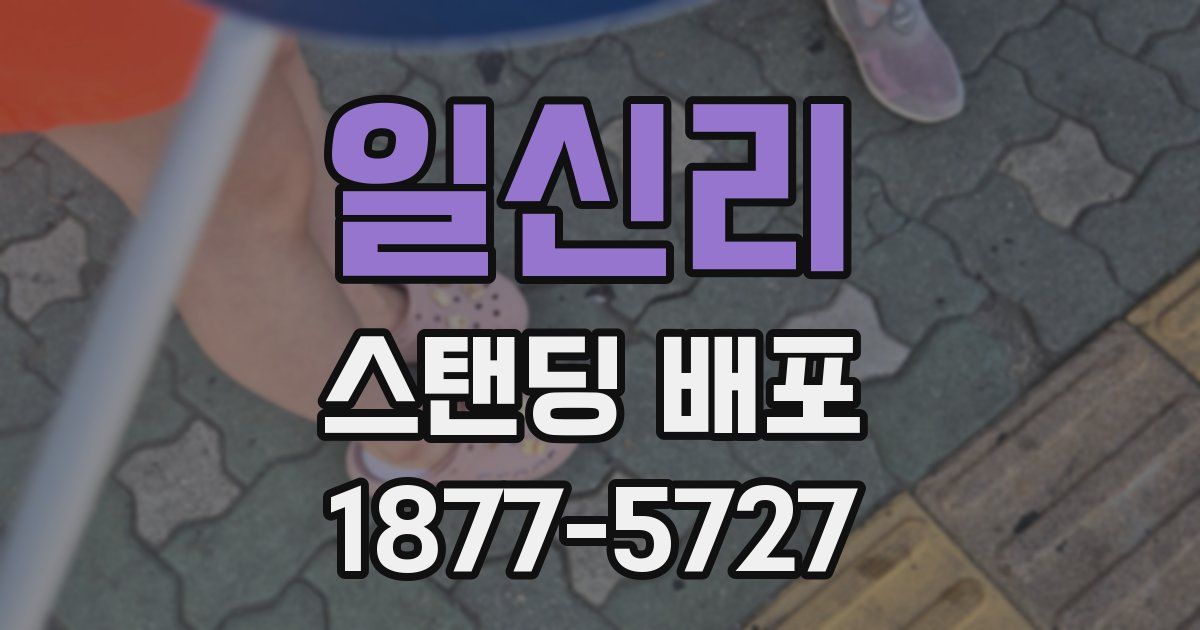 일신리 스탠딩 배포