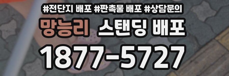 망능리 스탠딩 배포