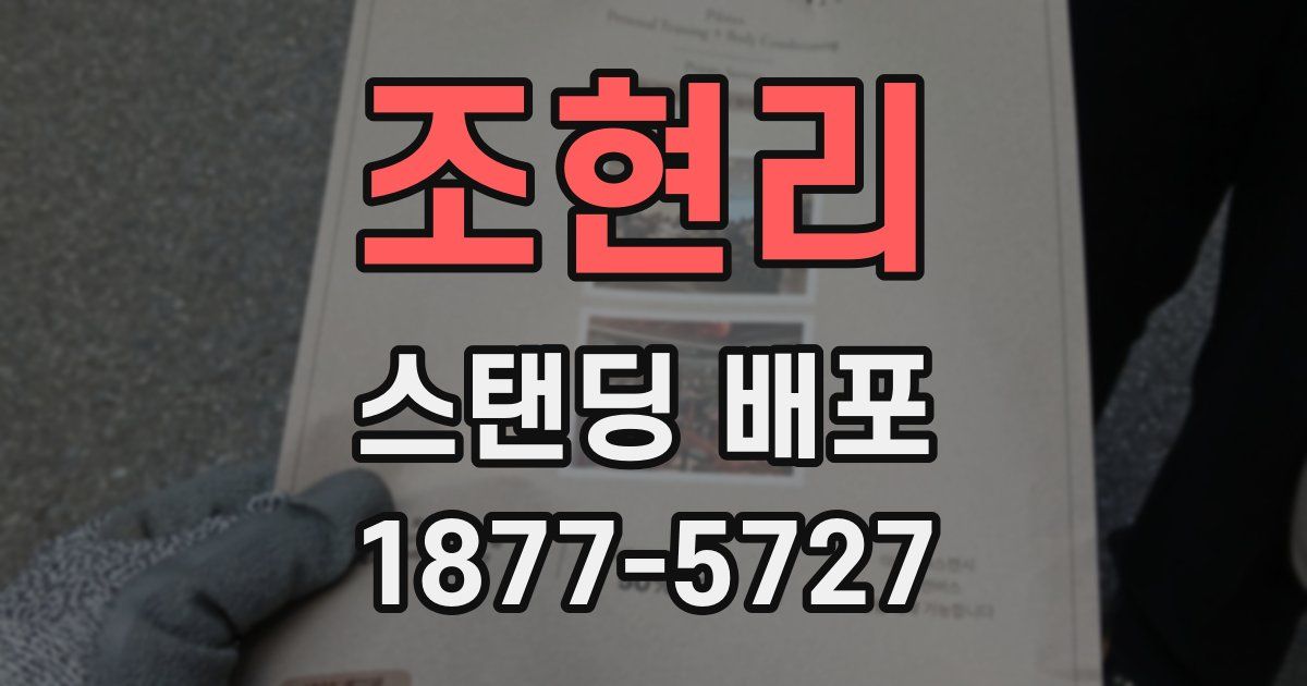 조현리 스탠딩 배포