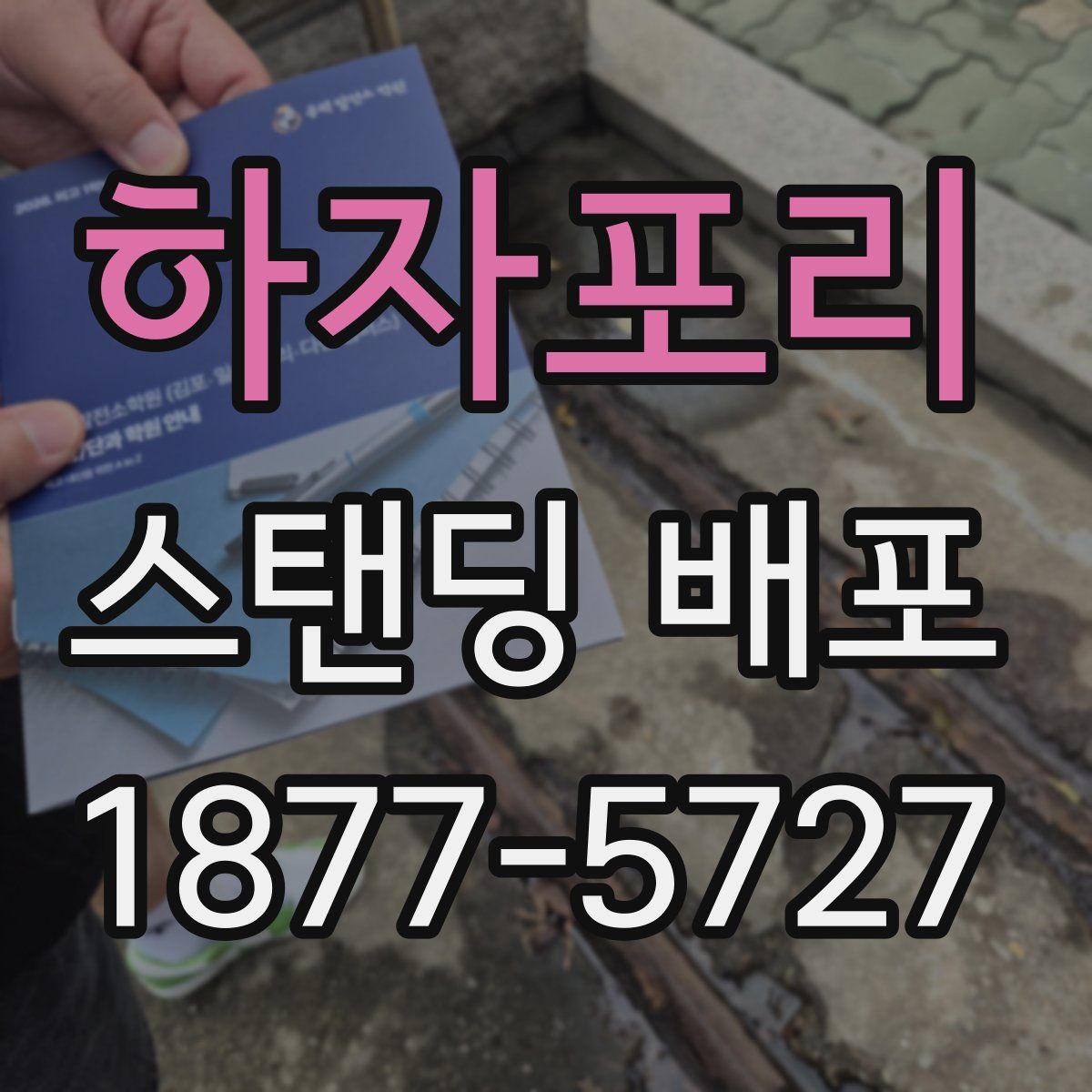 하자포리 스탠딩 배포