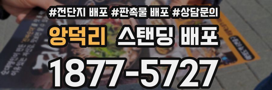 앙덕리 스탠딩 배포