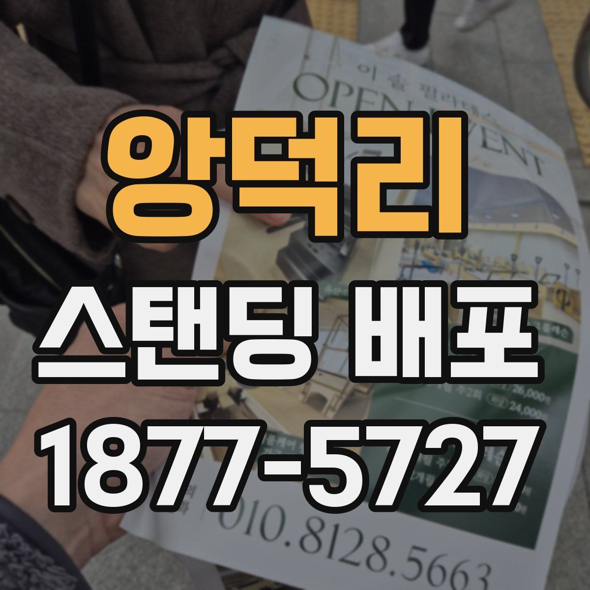 앙덕리 스탠딩 배포