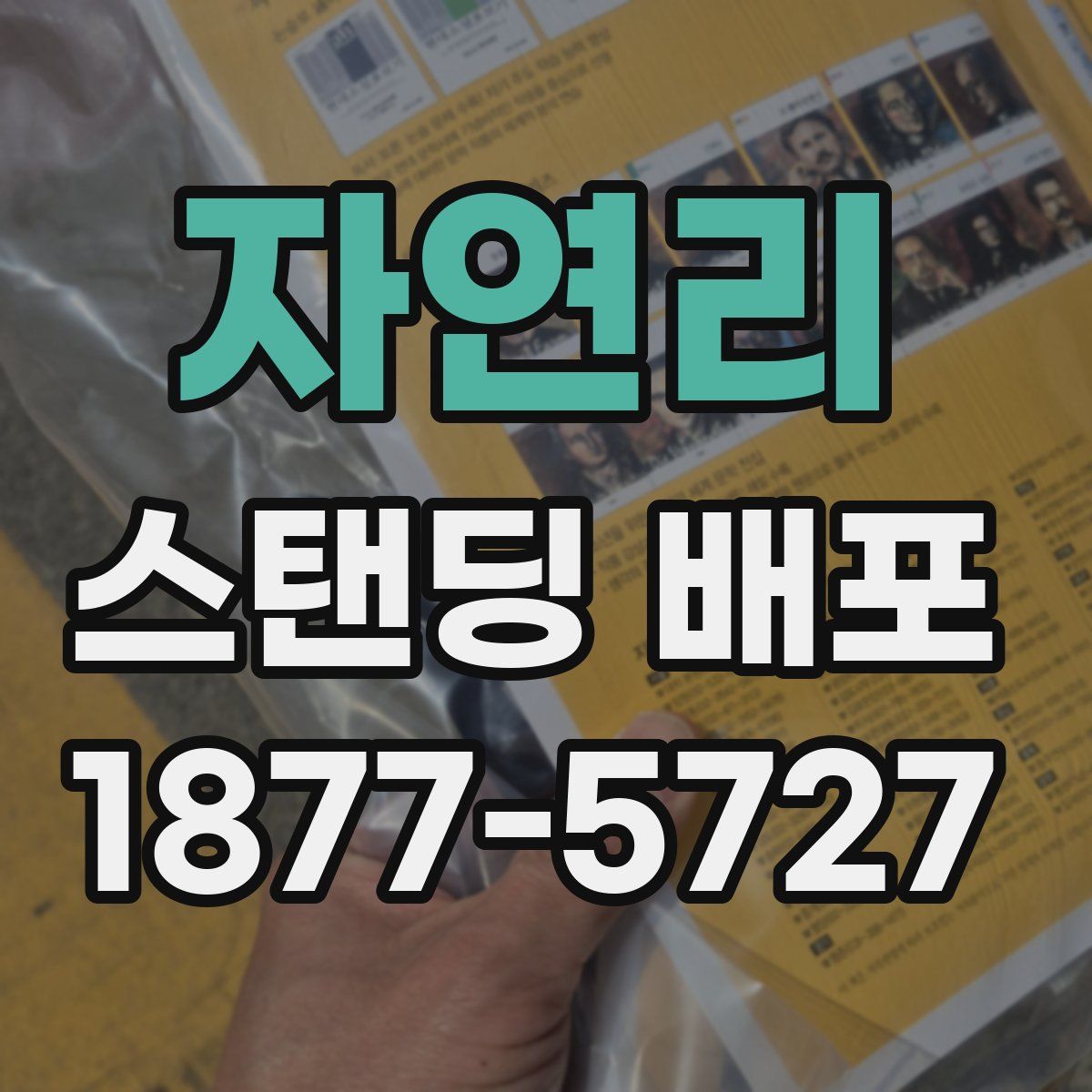 자연리 스탠딩 배포