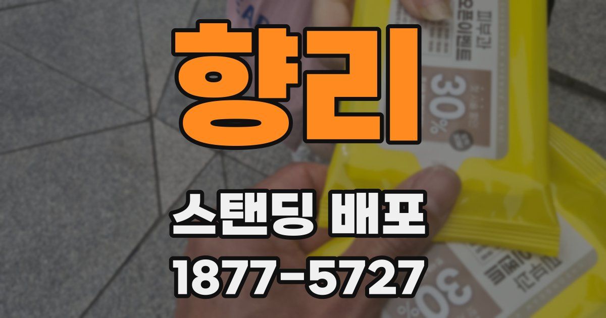 향리 스탠딩 배포