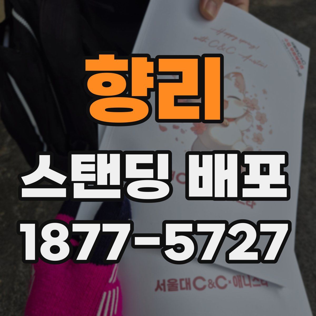 향리 스탠딩 배포