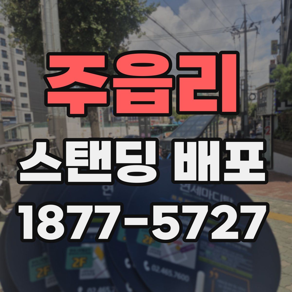 주읍리 스탠딩 배포