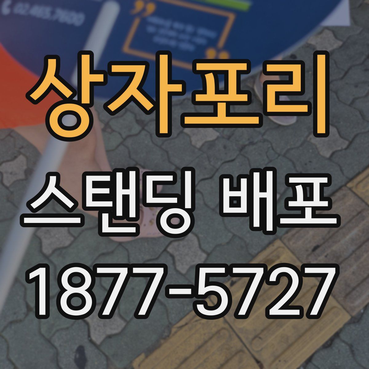 상자포리 스탠딩 배포
