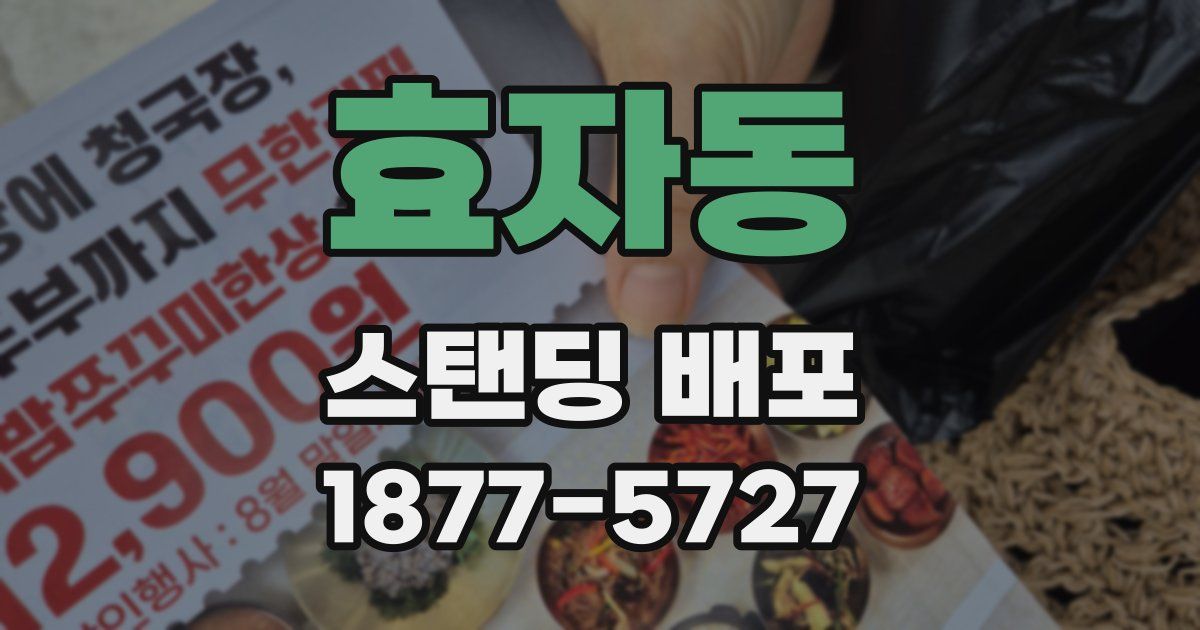 효자동 스탠딩 배포