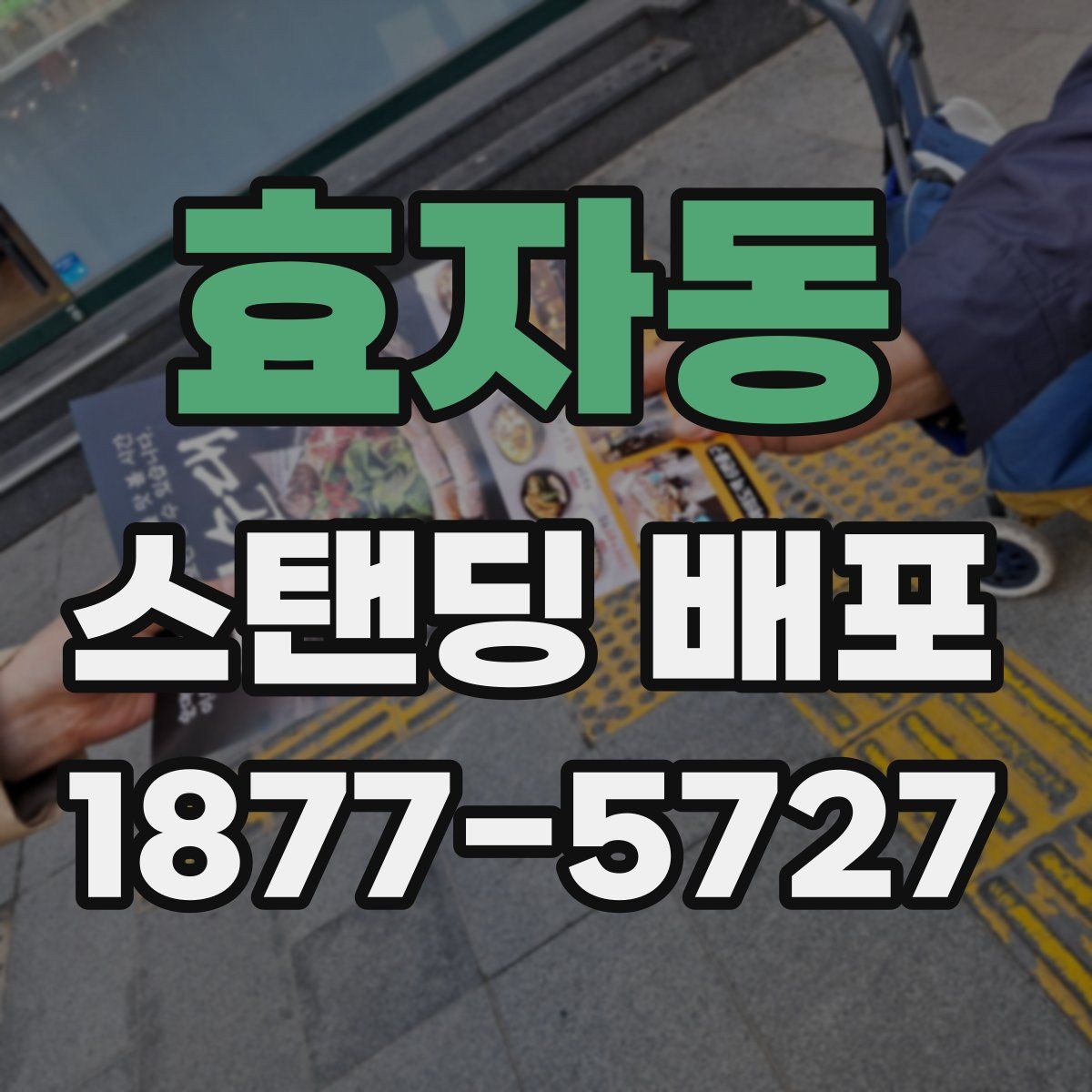 효자동 스탠딩 배포