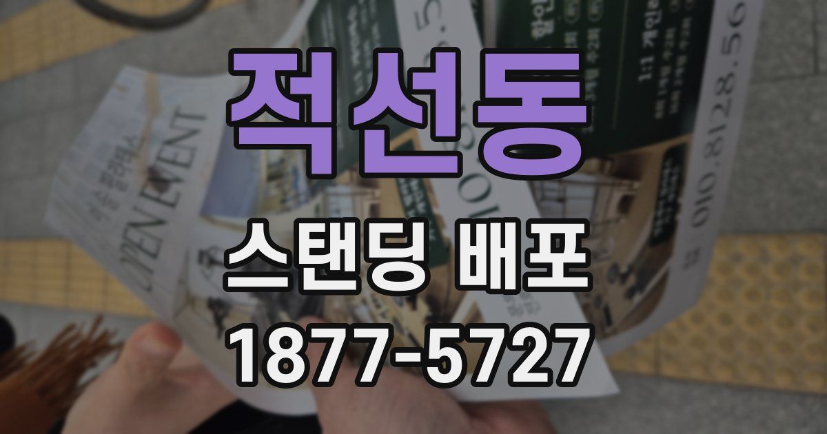 적선동 스탠딩 배포
