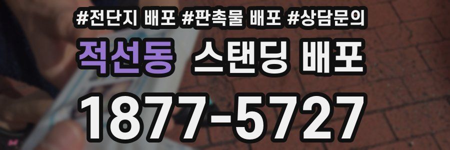 적선동 스탠딩 배포
