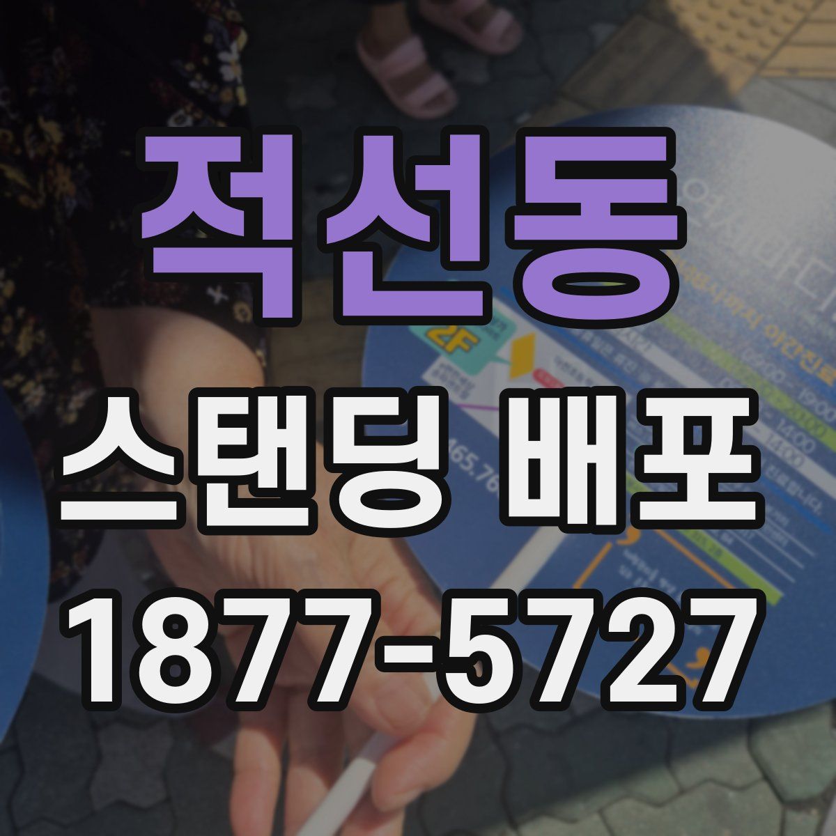 적선동 스탠딩 배포