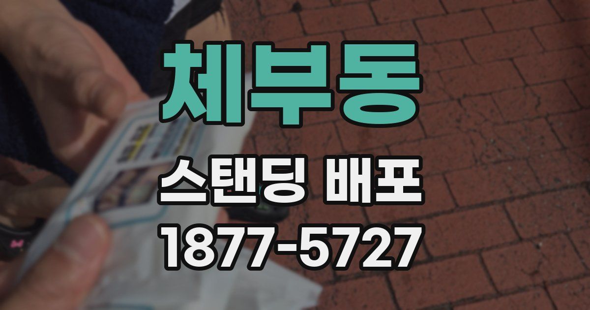체부동 스탠딩 배포