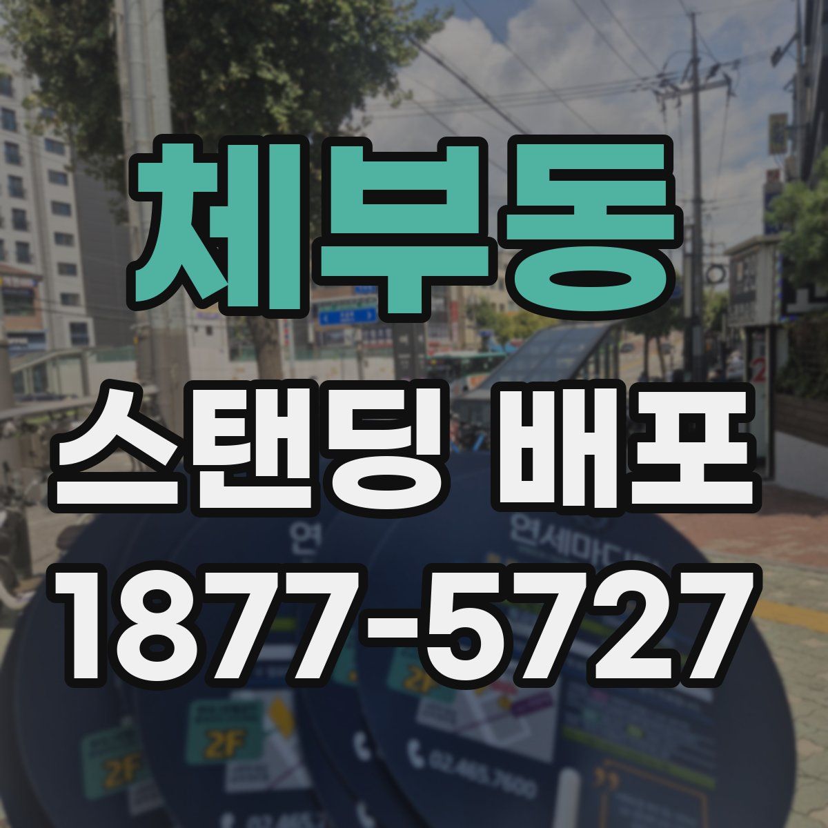 체부동 스탠딩 배포
