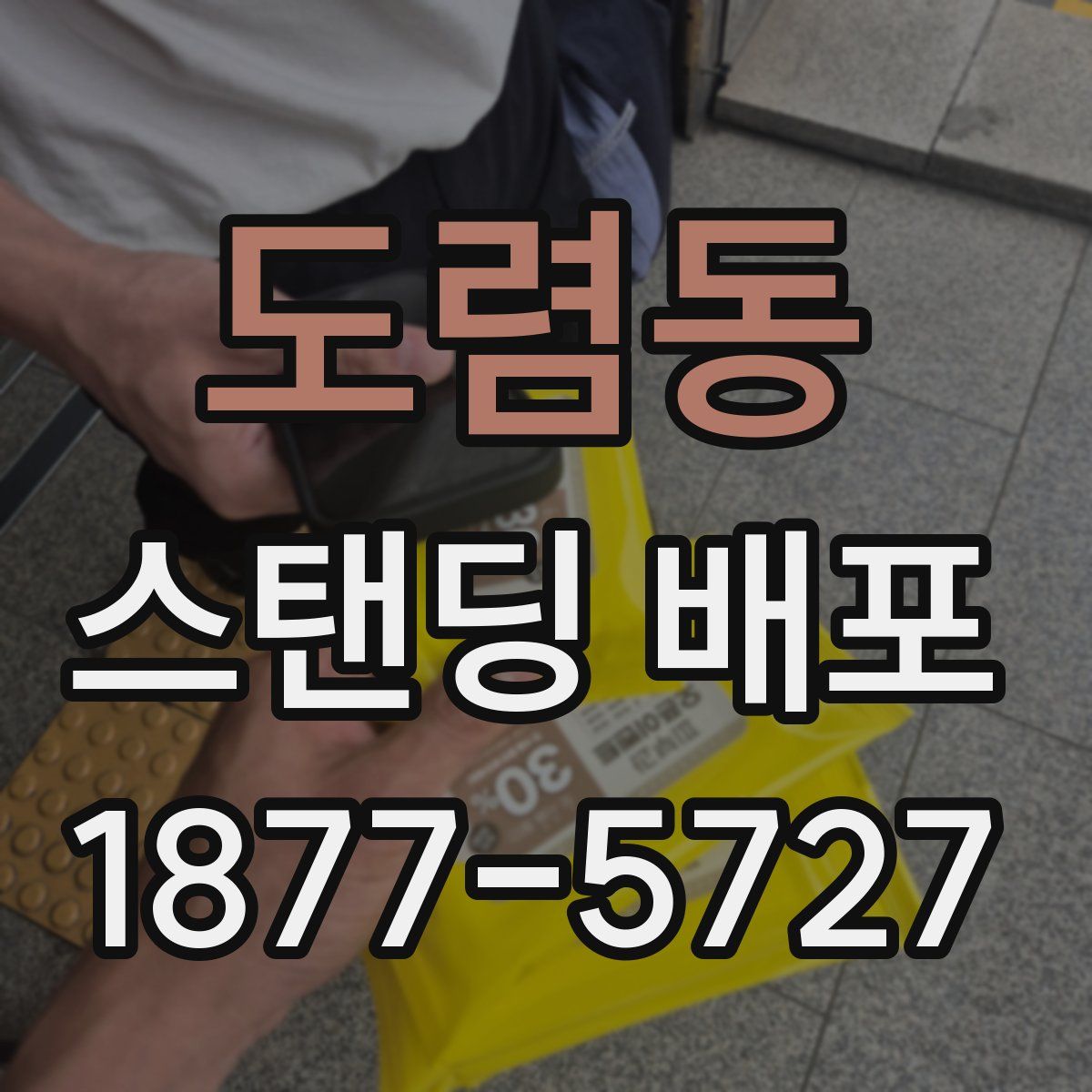도렴동 스탠딩 배포