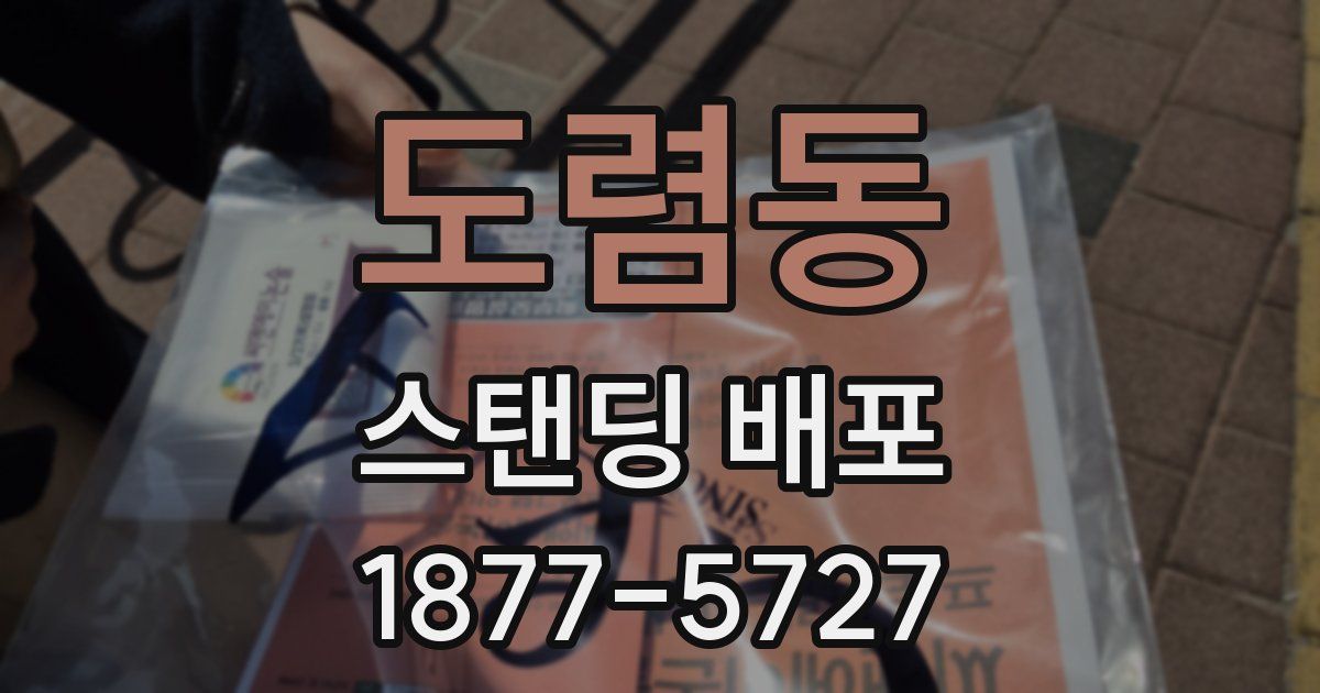 도렴동 스탠딩 배포