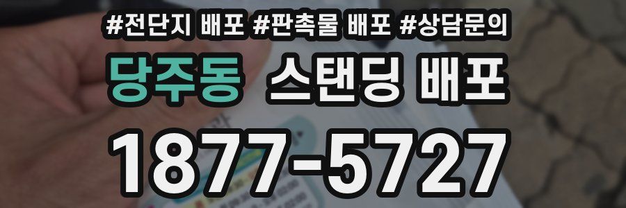 당주동 스탠딩 배포