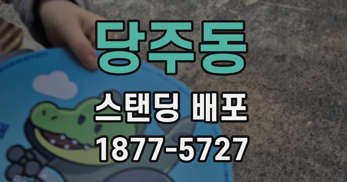 당주동 스탠딩 배포
