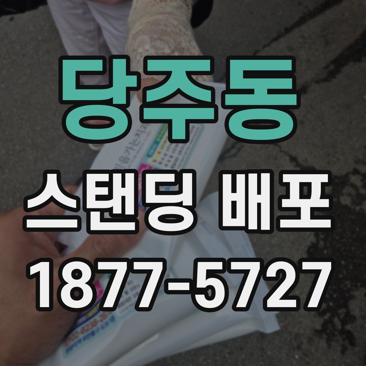 당주동 스탠딩 배포