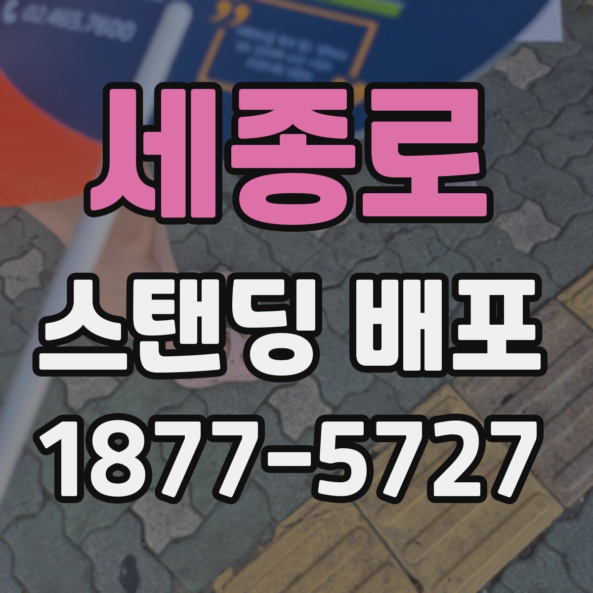 세종로 스탠딩 배포
