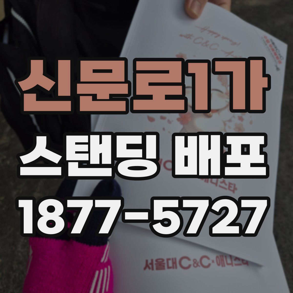 신문로1가 스탠딩 배포