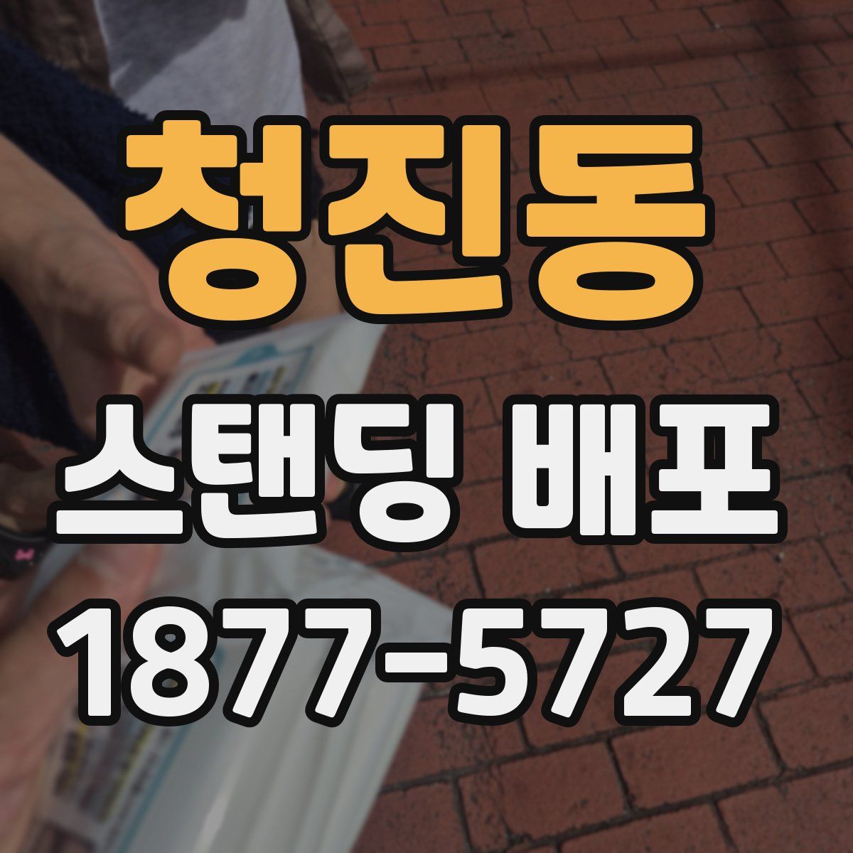 청진동 스탠딩 배포