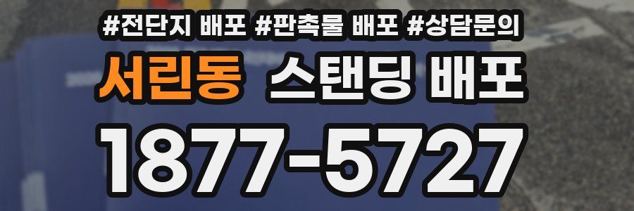 서린동 스탠딩 배포