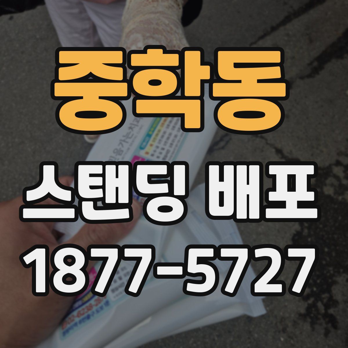 중학동 스탠딩 배포