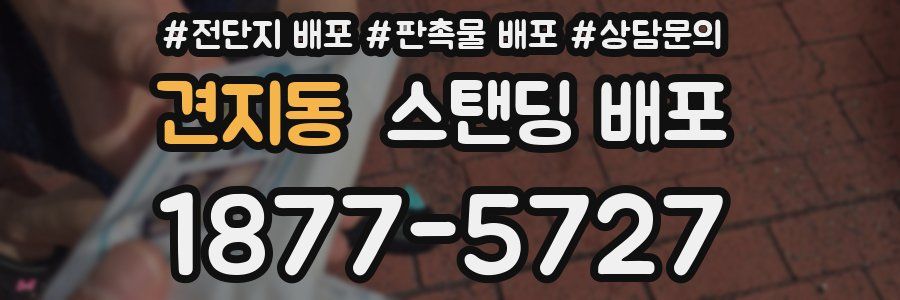 견지동 스탠딩 배포