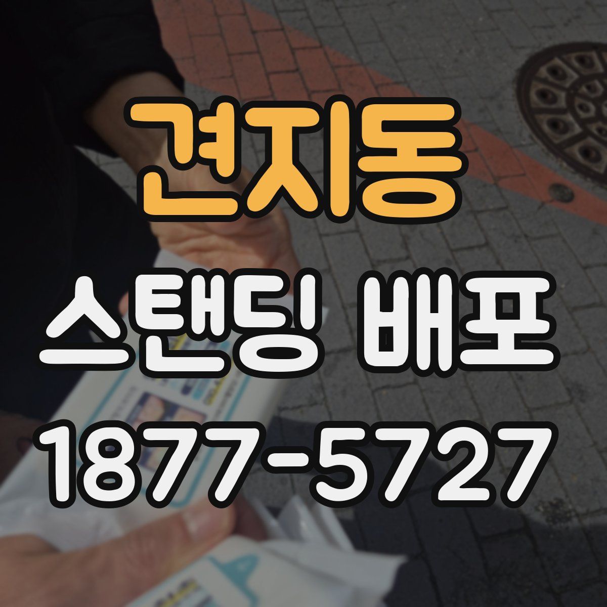 견지동 스탠딩 배포