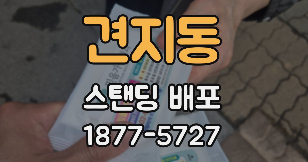 견지동 스탠딩 배포